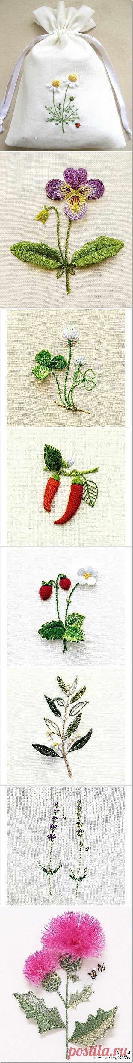 Lovely stumpwork. #embroidery #stumpwork diy embroidery inspiration - little plants and flowers|  Найдено на сайте m.duitang.com.