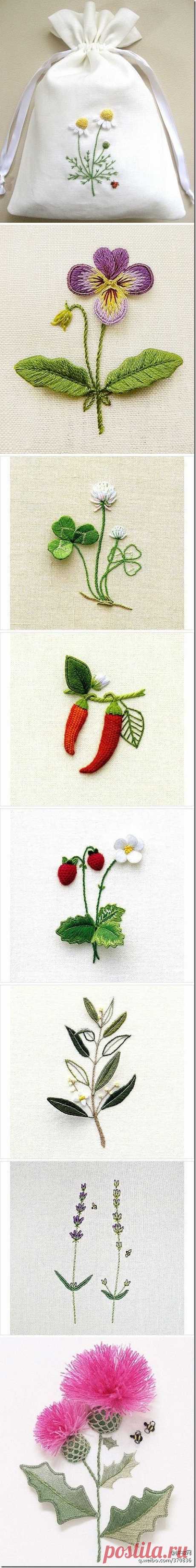 Lovely stumpwork. #embroidery #stumpwork diy embroidery inspiration - little plants and flowers|  Найдено на сайте m.duitang.com.