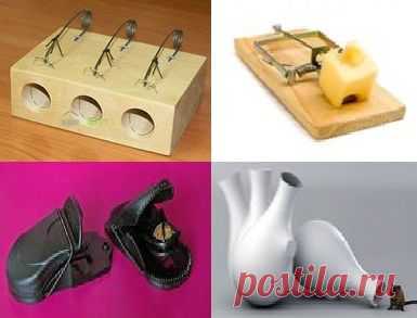 Сонник мышеловка: толкование сна, в котором приснилась мышеловка