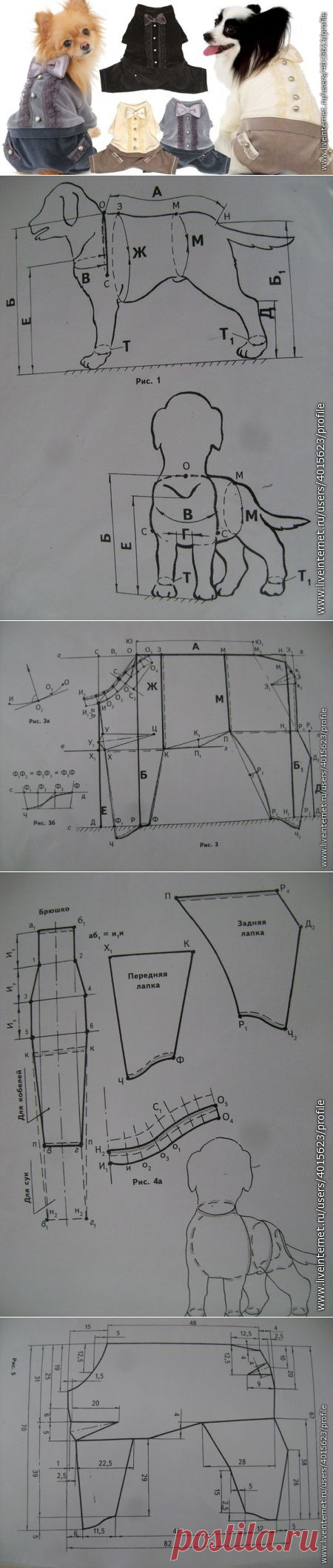 Конструирование для собак