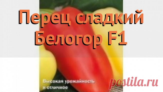 Перец белогор f1 описание отзывы Огород без хлопот - информационный сайт для дачников, садоводов и огородников.