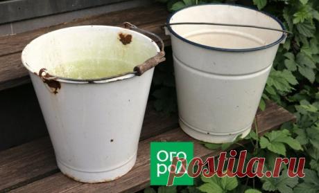 7 способов применить дырявое ведро на даче с пользой | Полезно (Огород.ru)