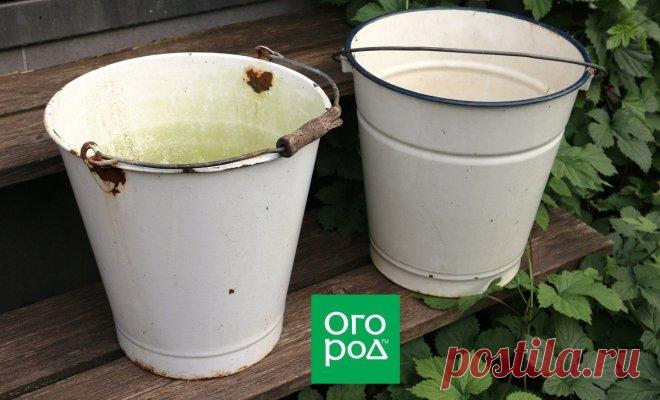 7 способов применить дырявое ведро на даче с пользой | Полезно (Огород.ru)