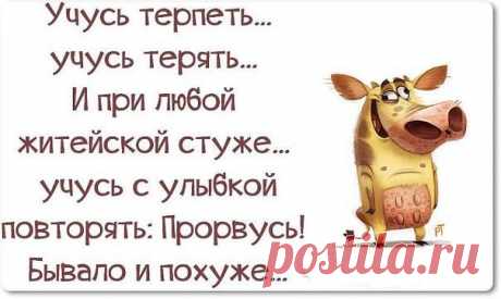 Яндекс.Картинки: поиск похожих картинок