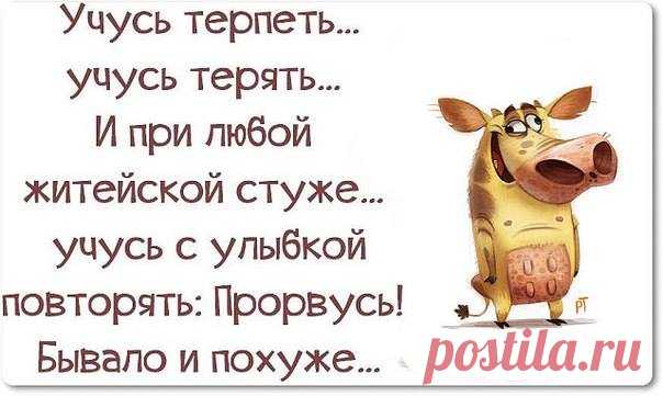 Яндекс.Картинки: поиск похожих картинок