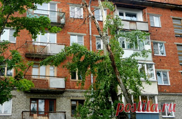 Как технический паспорт помогает снизить квартплату | Юридические тонкости | Яндекс Дзен