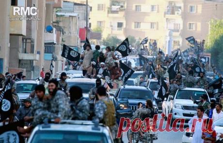 ТАСС: Международная панорама - Госдеп: США приветствовали бы более активное участие России в борьбе с ИГ