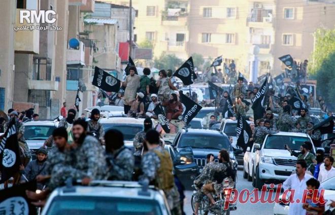 ТАСС: Международная панорама - Госдеп: США приветствовали бы более активное участие России в борьбе с ИГ