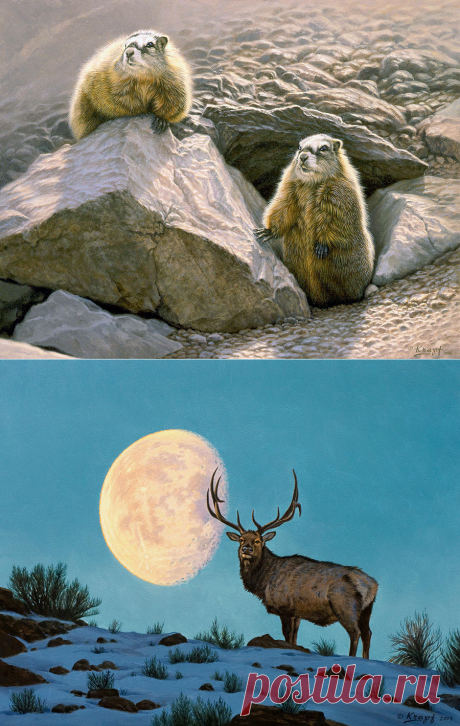 В мире Животных | Paul Krapf (часть 3)