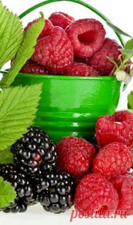 дары природы