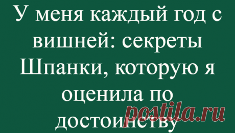 У меня каждый год с вишней: секреты Шпанки, которую я оценила по достоинству
Вишня — популярное среди садоводов плодовое дерево. Шпанка представляет собой уникальный гибрид вишни и черешни, селекция которого произошла естественным путем. Исходные сорта, из которых она получилась, неизвестны. Вишня Шпанка. Иллюстрация для статьи используется с сайта newogorod.ru Описание Шпанки Больше двух...
Читай дальше на сайте. Жми подробнее ➡