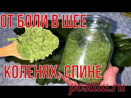 Настойка ХРЕНА лечит боль в Суставах, Коленях, Мышцах, Ангину, Кашель, Простуду, Остеохондроз
