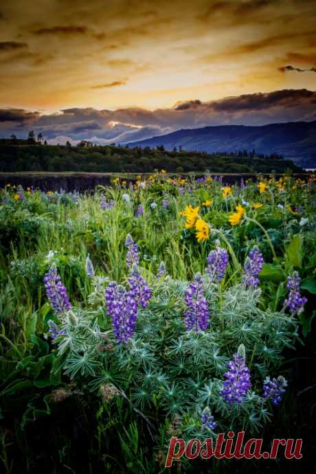 wowtastic-nature: 💙 Rowena Crest Sunset by Rick... - An Ethereal Enchantment