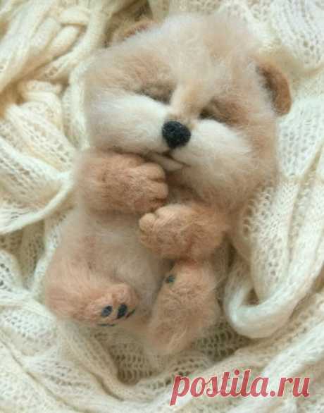 Щенок Шпиц. Игрушка из шерсти – купить в интернет-магазине на Ярмарке Мастеров с доставкой Щенок Шпиц. Игрушка из шерсти - купить или заказать в интернет-магазине на Ярмарке Мастеров | Щеночек шпица по имени Сёма.  Совсем маленький&hellip;