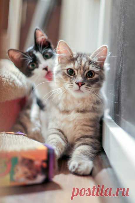 We've been spotted!