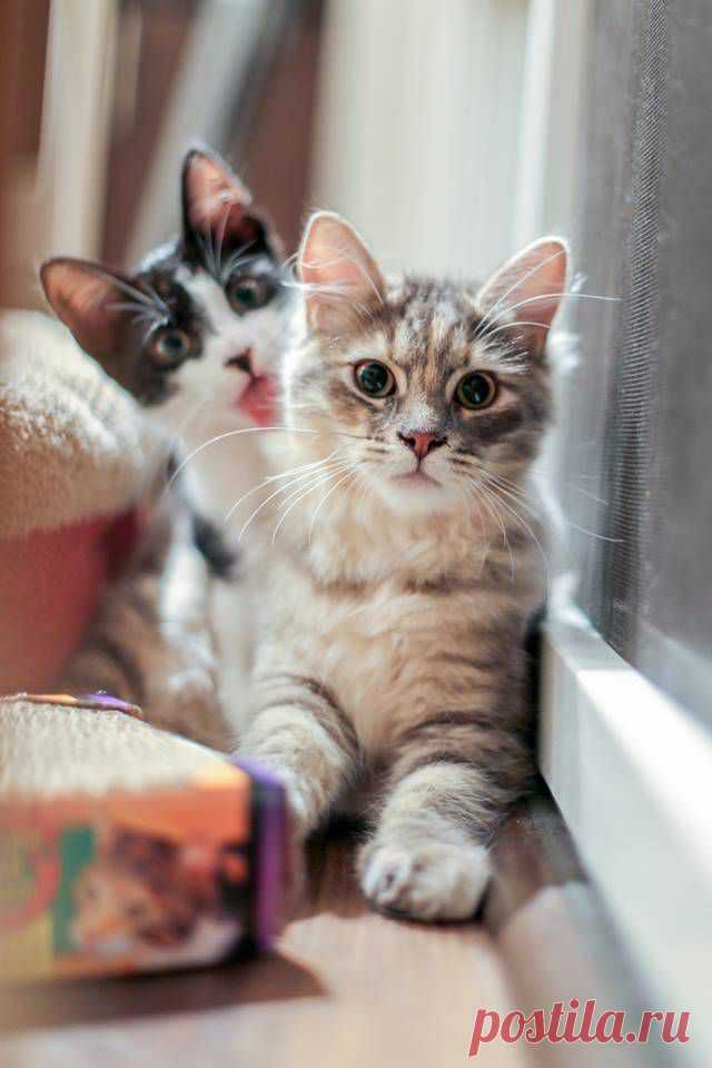 We've been spotted!