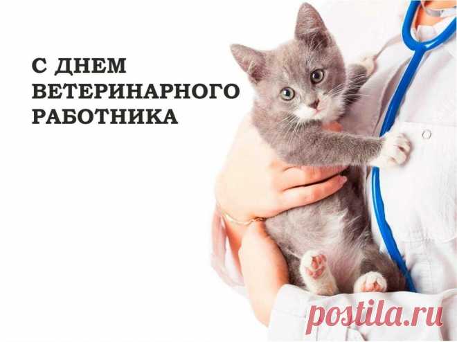 С Днем ветеринара поздравляю!
И успешной жизни вам желаю,
Чтоб работа радость приносила,
Окрыляла, придавала силы.
