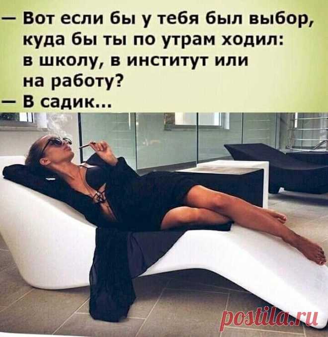Выпуск №6684 - выпуск анекдотов сайта вокруг смеха