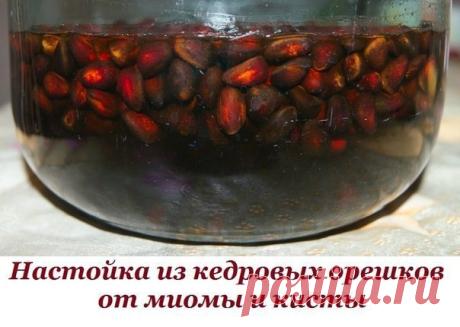 Интересные новости