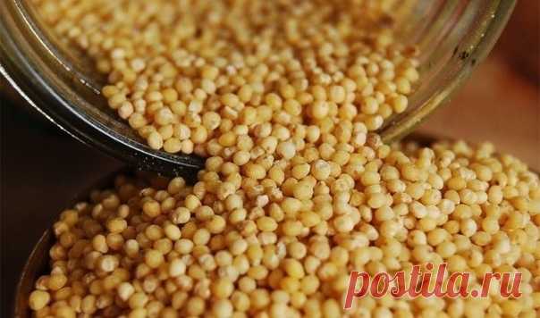 Одна из самых полезных круп В МИРЕ! 85% людей незаслуженно обходят ее стороной...

Теперь мало кто знает, что пшено лечит практически всё — от ожирения до тромбофлебита. Делимся с вами рецептами, чтобы доказать: одна упаковка пшена стоит столько же, сколько целая аптечка. И хорошо, что не в денежном эквиваленте!

1) Лечит стенокардию
Показать полностью...