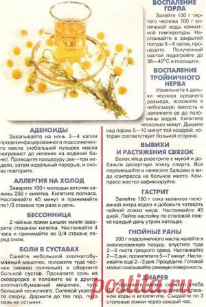 Забытые рецепты..