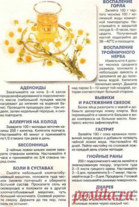 Забытые рецепты..