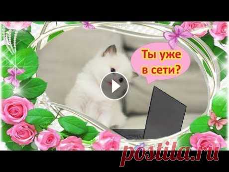 Доброе утро! Хорошего дня  Нежная, музыкальная открытка  Пожелания для друзей Доброе утро! Два коротких слова,а сколько в них вложено.Внимание приятно любому и поднимает настроение на весь день. Прекрасно, когда утро начинается ...