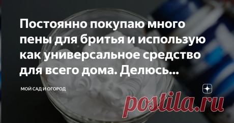 Постоянно покупаю много пены для бритья и использую как универсальное средство для всего дома. Делюсь опытом Знаете ли вы, что привычную пену для бритья, разновидностей которой в последнее время появилось огромное количество, можно применять не только по прямому ее назначению?
Да, я тоже раньше была, так сказать, не в курсе, пока ко мне в гости не наведалась свекровь – оказалось, она, как никто другой знает толк в применении пены для бритья в быту. Делюсь с вами своими нов...