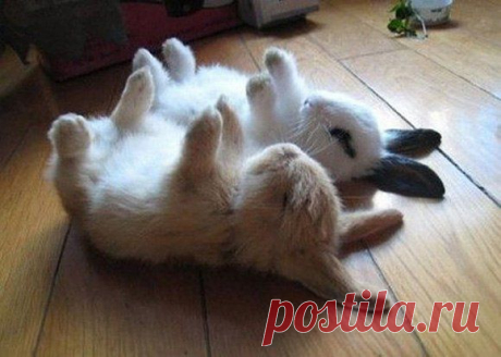 Фотографии на стене сообщества | 9 683 фотографии | ВКонтакте