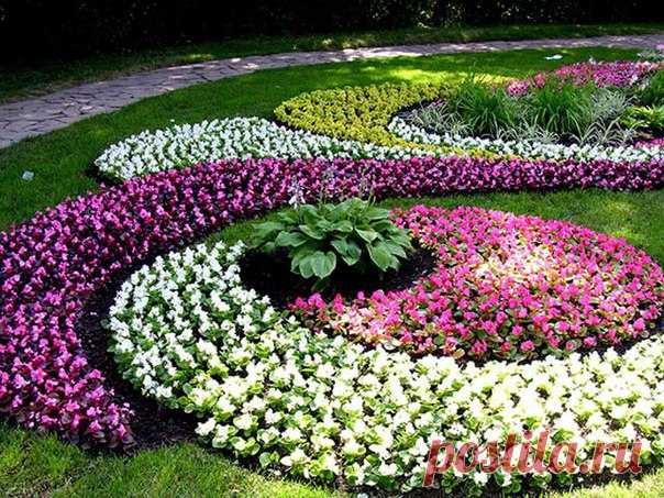 Какие низкорослые цветы выбрать для клумбы 

Мода, как известно, не стоит на месте. Она влияет на все стороны нашей жизни. И нет ничего удивительного, что сегодня, как никогда, популярны низкорослые цветы для клумбы. Они имеют много достоинств и, по справедливости, все чаще вытесняют высоко растущие растения. Их сегодня можно увидеть почти на любой клумбе. Благо, ассортимент таких цветов достаточно многообразен и включает, как однолетние, так и многолетние виды. 
Показать полностью…