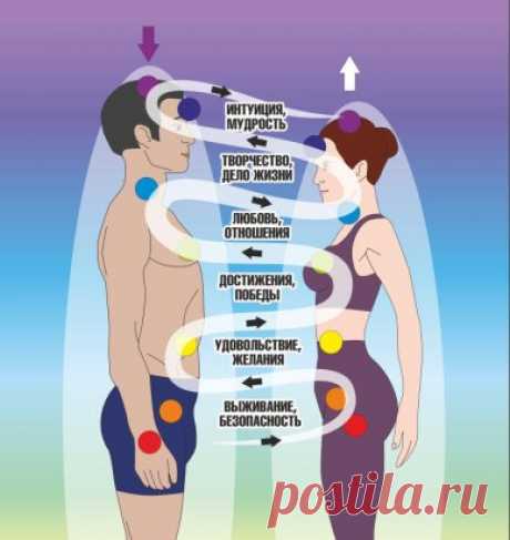 Одноклассники