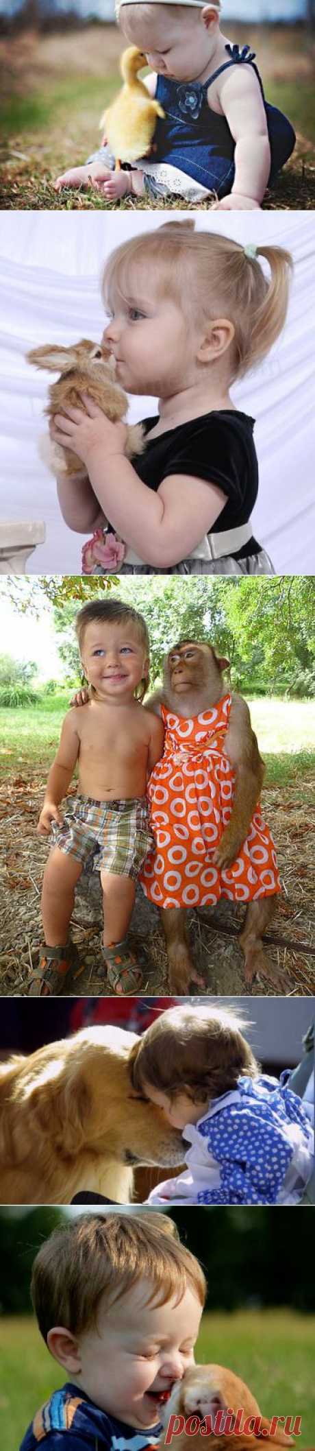 РЕБЯТА И ЗВЕРЯТА