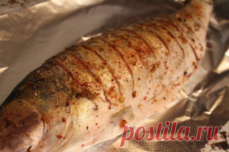 Судак с помидорами и лимонами | Банк кулинарных рецептов