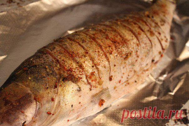 Судак с помидорами и лимонами | Банк кулинарных рецептов