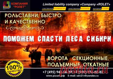 РОЛЬСТАВНИ В ТУАЛЕТ КУПИТЬ. ЛЕТНИЕ СКИДКИ 
 https://www.rol-stav.ru   Звоните: 8 495 943 0639 / 8 903 275 9797
Рольставни на окна, двери и боксы представляют собой полотно из горизонтальных алюминиевых ламелей и две направляющие, по которым это полотно скользит. При открывании роллет сворачивается в компактный короб, монтируемый на верху дверного проема, при закрывании – полностью перекрывает окно или дверь, обеспечивая защиту от взлома.