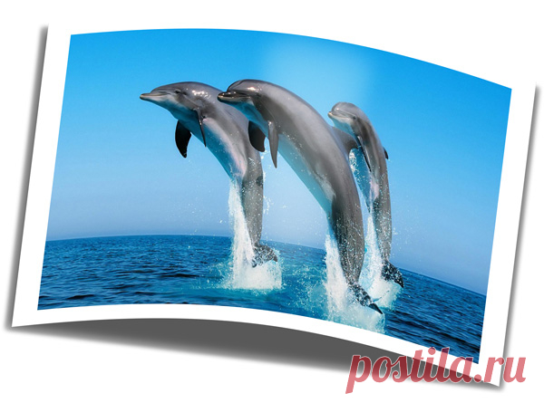 PhotoshopSunduchok - Как сделать объёмную фотографию