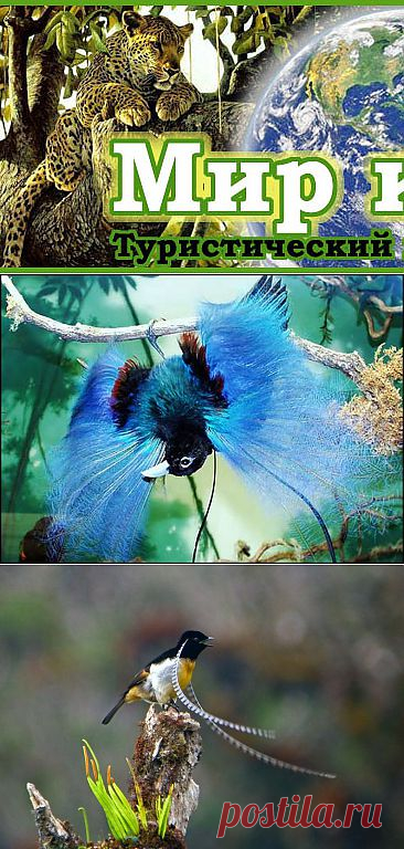 ������� ����� - ������������ ����� ���������� ����� ������ � ��������� - ������������� ������ - ��� ������!