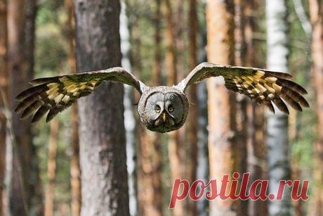российское географическое общество фотоконкурс 2015: 1 тыс изображений найдено в Яндекс.Картинках