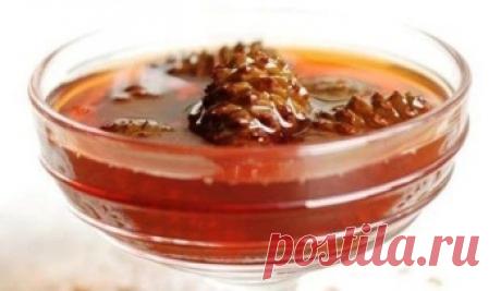 Лечебный сироп из сосновых шишек для лечения кашля и легочных болезней