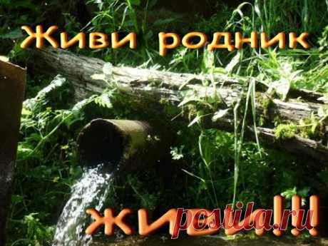 Живи#родник,#живи!!!#live#spring!!! - YouTube