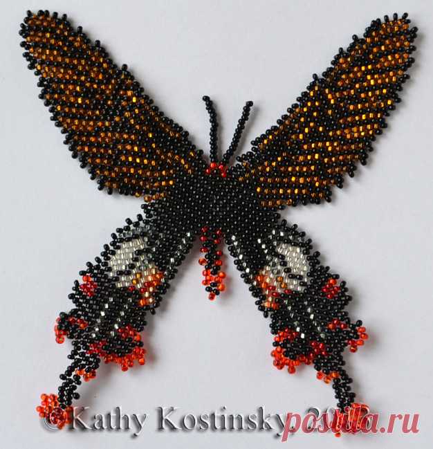 Парусник Полла. Коллекция 63 бабочки мира
