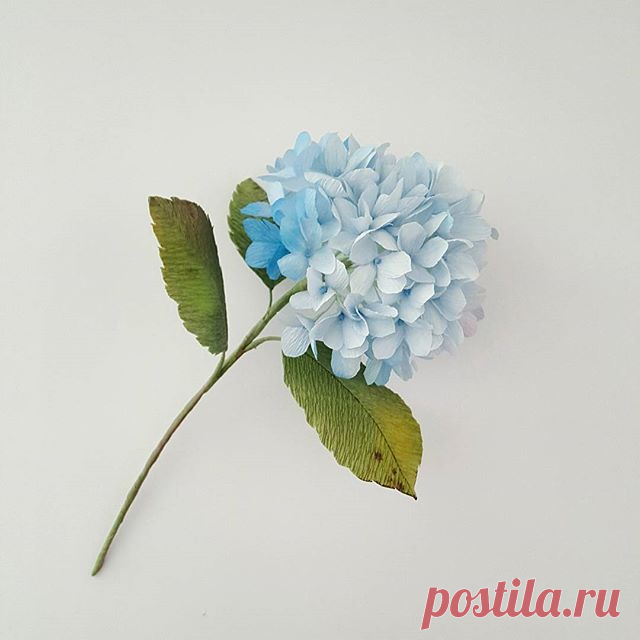 In a blue mood (but in a good way).