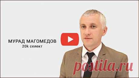 MB30.tv - Миллионер до 30 | Millionaire by 30