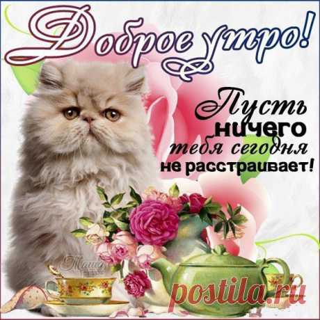Красив картинки доброе утро Легкого чудесного утра открытка с музыкой