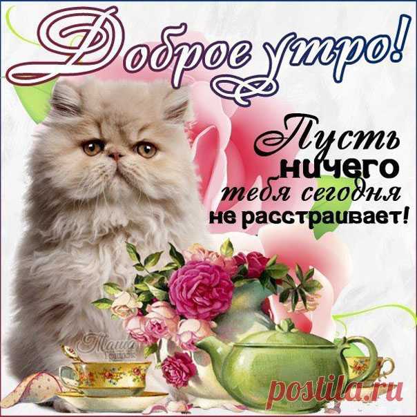 Красив картинки доброе утро Легкого чудесного утра открытка с музыкой