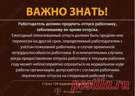 Имбирь