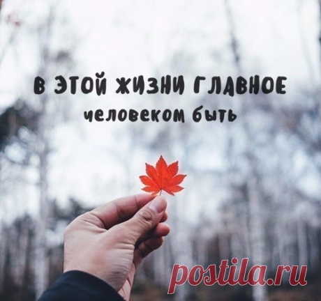 Спасибо всем, кто нам мешает, 
Кто нам намеренно вредит, 
Кто наши планы разрушает, 
И нас обидеть норовит! 
О, если б только эти люди 
Показать полностью…
