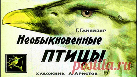 Необыкновенные птицы Энциклопедия птиц «Экзотические птицы. Яркое царство пернатых» – это собрание самых необыкновенных птиц мира, которые живут среди льдов, в знойных джунглях, в сухих пустынях, ...