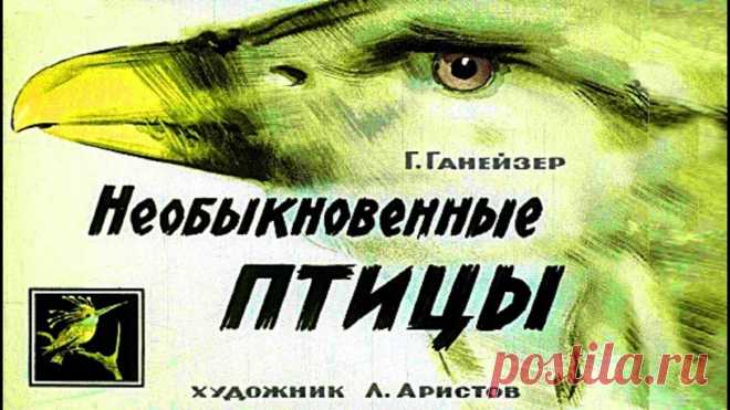 Необыкновенные птицы Энциклопедия птиц «Экзотические птицы. Яркое царство пернатых» – это собрание самых необыкновенных птиц мира, которые живут среди льдов, в знойных джунглях, в сухих пустынях, ...