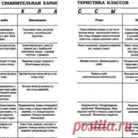 Учитель биологии!